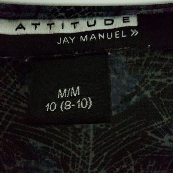 JAY Manuel sheer blouse - Picture 7 of 8